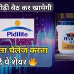 Pidilite Share Price Target 2025, 2026, 2027, 2030 | पिडिलाइट शेयर प्राइस टारगेट 2025, 2026, 2027, 2030