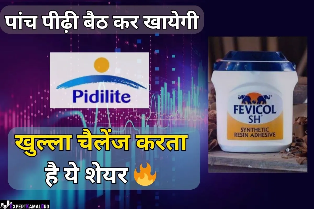 Pidilite Share Price Target 2025, 2026, 2027, 2030 | पिडिलाइट शेयर प्राइस टारगेट 2025, 2026, 2027, 2030