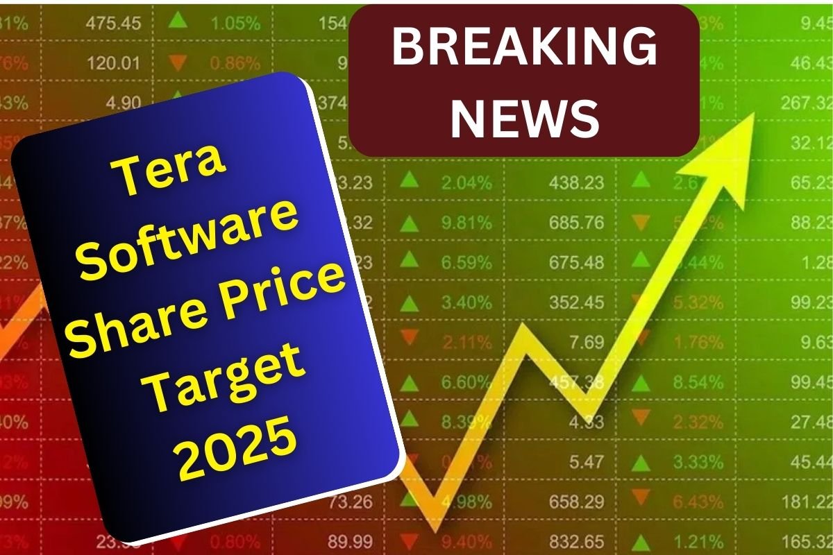 Tera Software Share Price Target 2025 from January to December: In-Depth Analysis