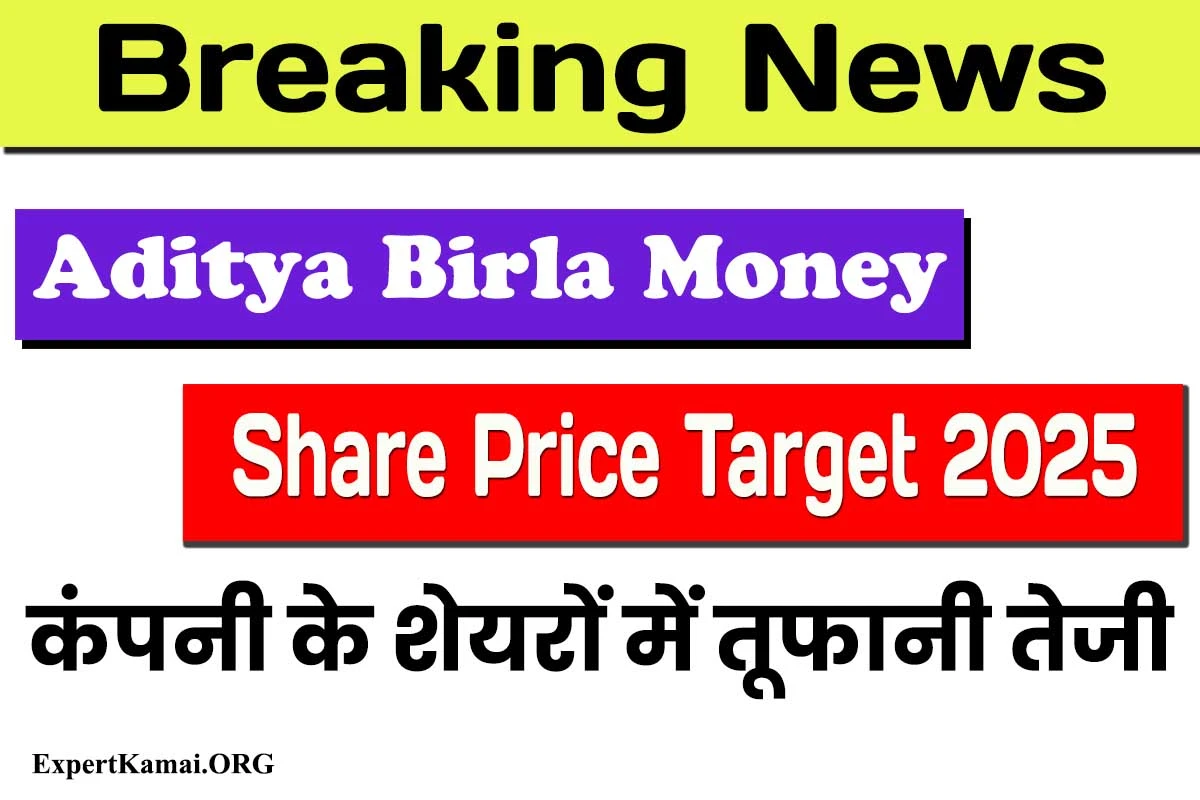 Aditya Birla Money Share Price Target 2025