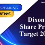 Dixon Share Price Target 2025