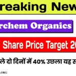 Fairchem Organics Share Price Target 2025