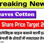 Greaves Cotton Share Price Target 2025