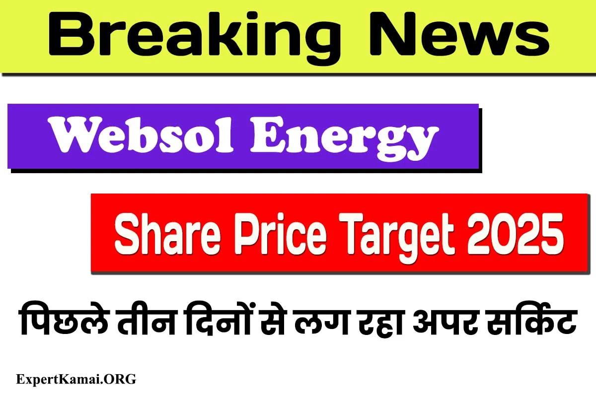 Websol Energy Share Price Target 2025