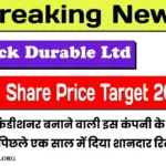 Epack Durable Share Price Target 2025